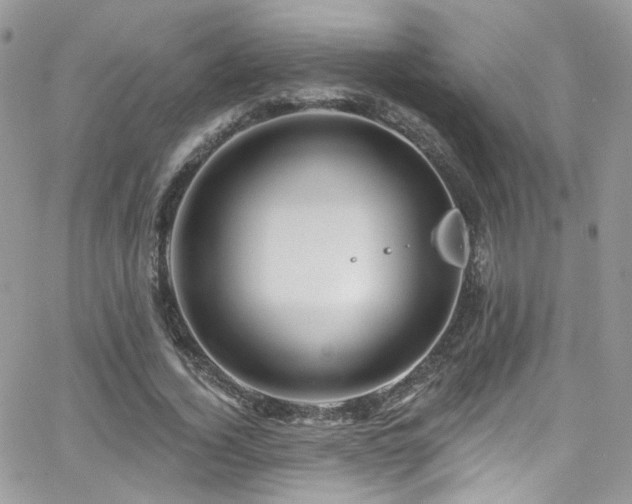 X0000062140732200512091214