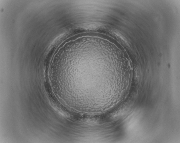 X0000062140733200512091214