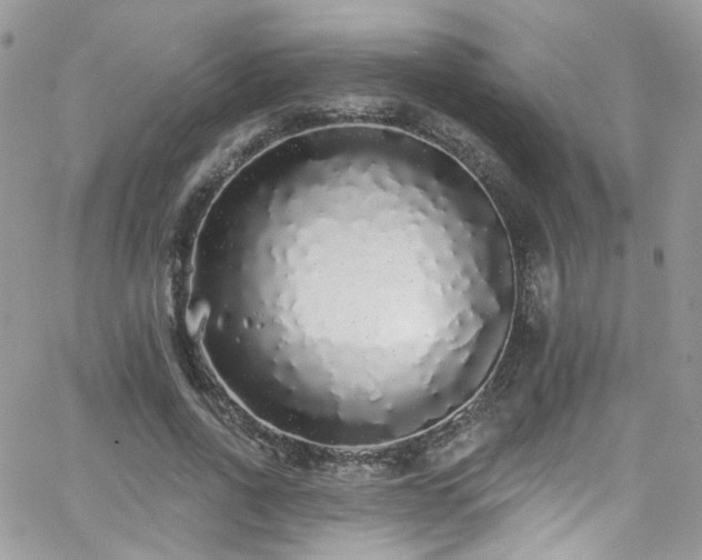 X0000062140734200512091214