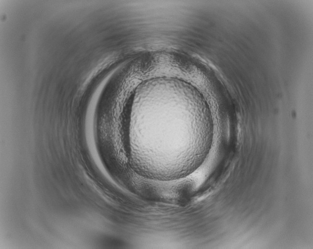 X0000062140735200512091214