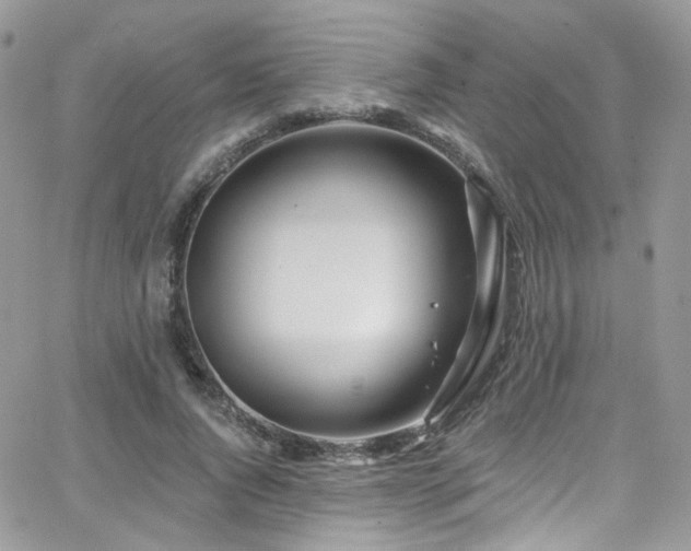 X0000062140736200512091214