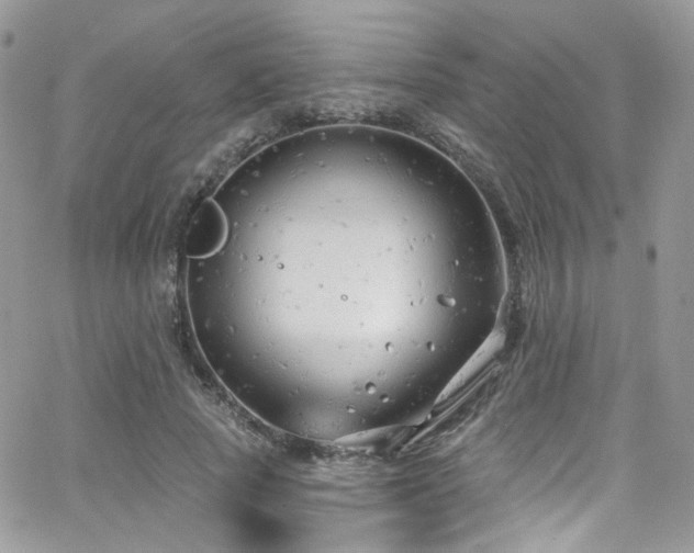 X0000062140737200512091214