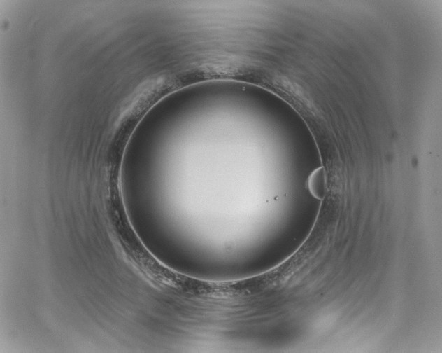 X0000062140738200512091214