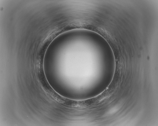 X0000062140739200512091214