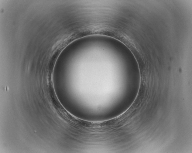 X0000062140740200512091214