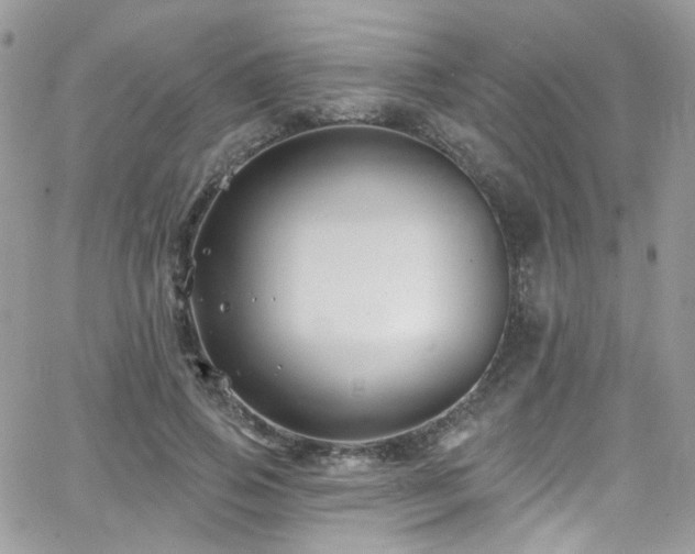 X0000062140741200512091214