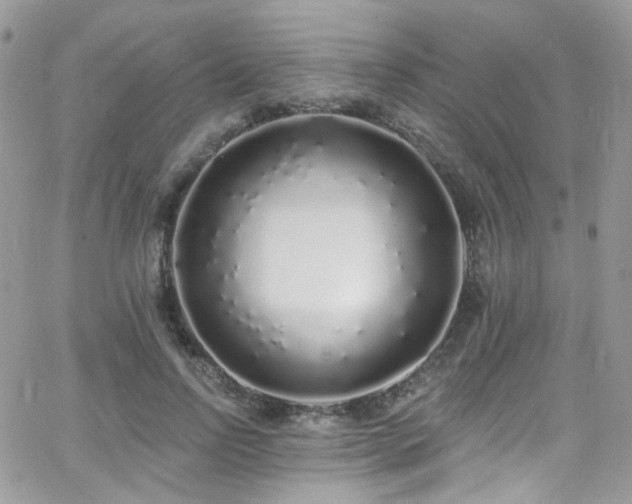 X0000062140742200512091214