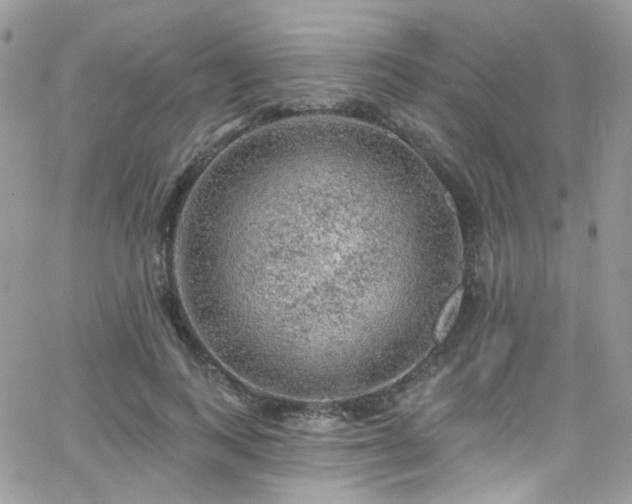 X0000062140743200512091214