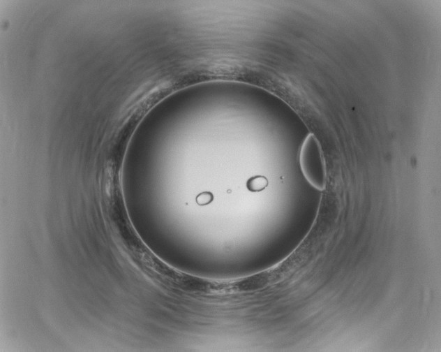 X0000062140744200512091214