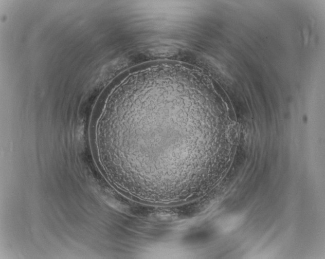 X0000062140745200512091214