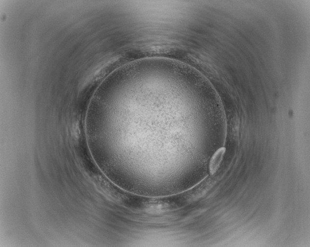 X0000062140746200512091215