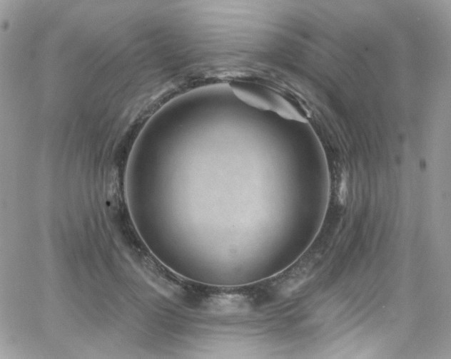 X0000062140748200512091215