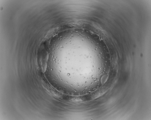 X0000062140749200512091215