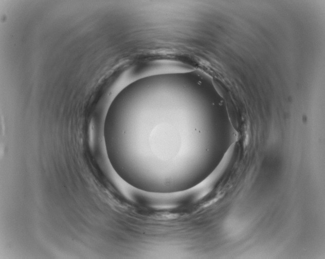 X0000062140750200512091215