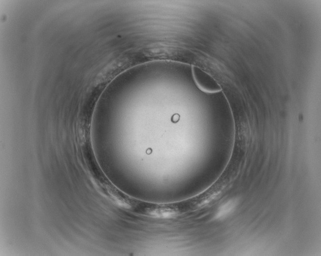 X0000062140751200512091215