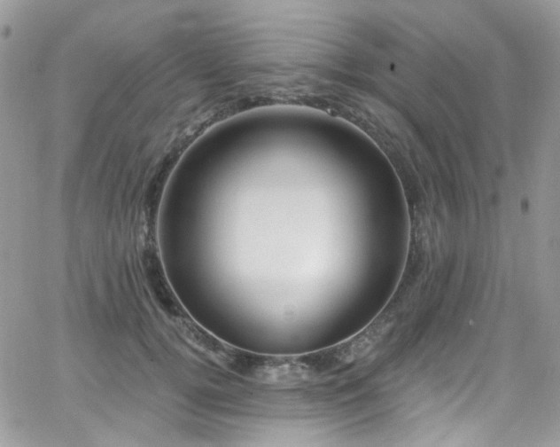 X0000062140752200512091215