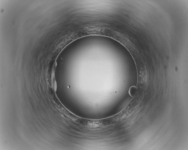 X0000062140753200512091215