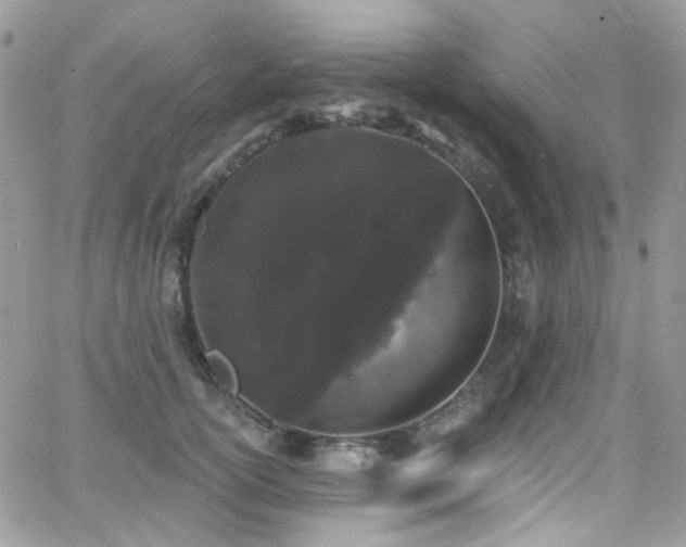 X0000062140754200512091215