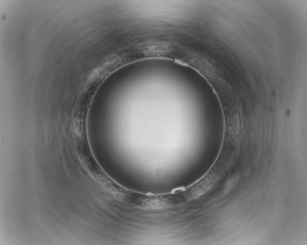 X0000062140755200512091215