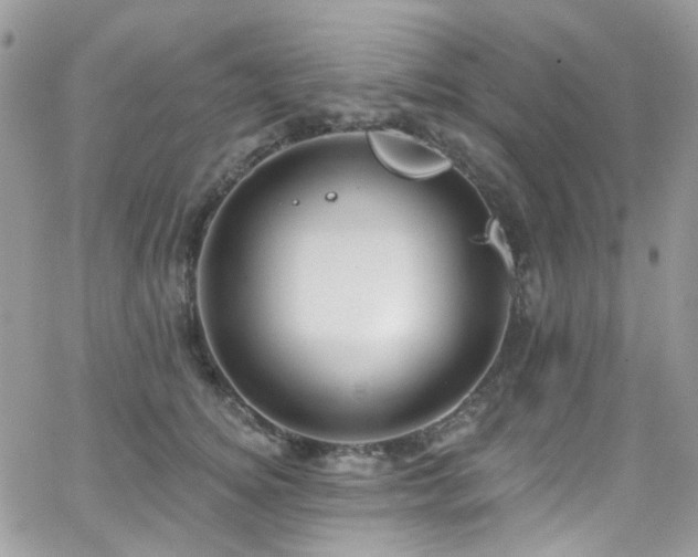 X0000062140756200512091215