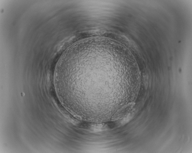 X0000062140757200512091215