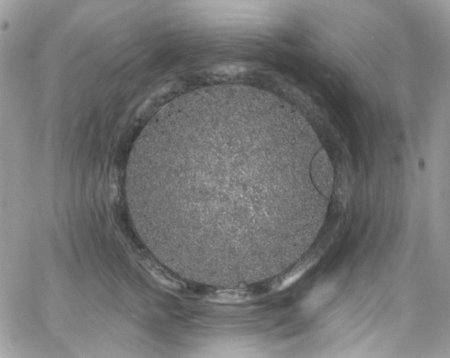 X0000062140758200512091215