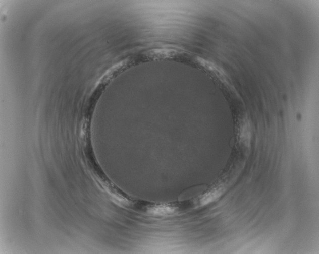 X0000062140759200512091215