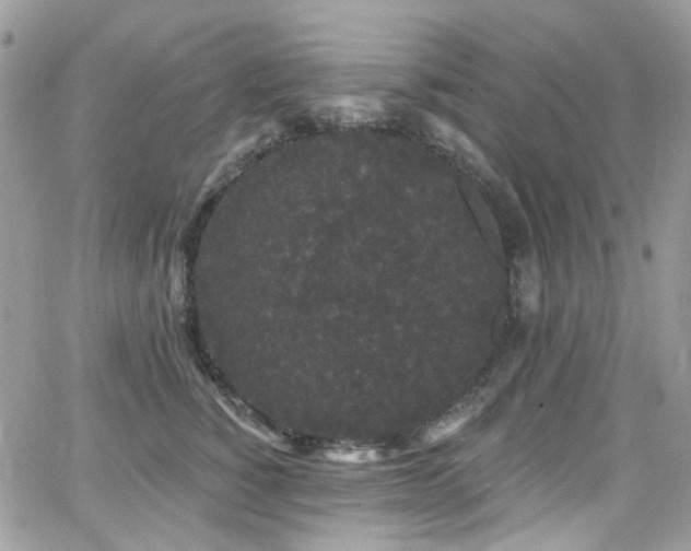 X0000062140760200512091215