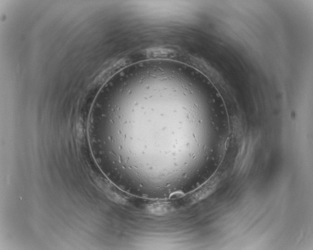 X0000062140761200512091215