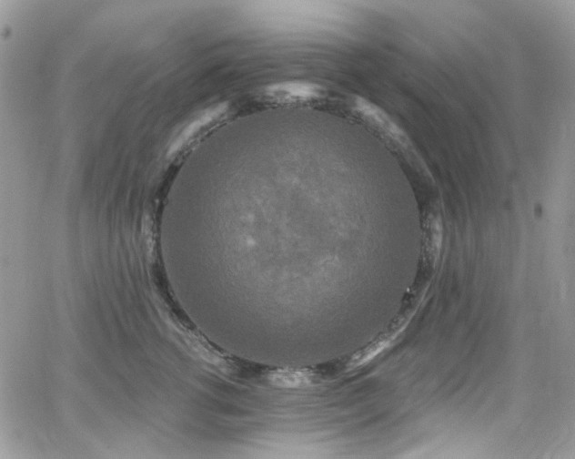 X0000062140762200512091215