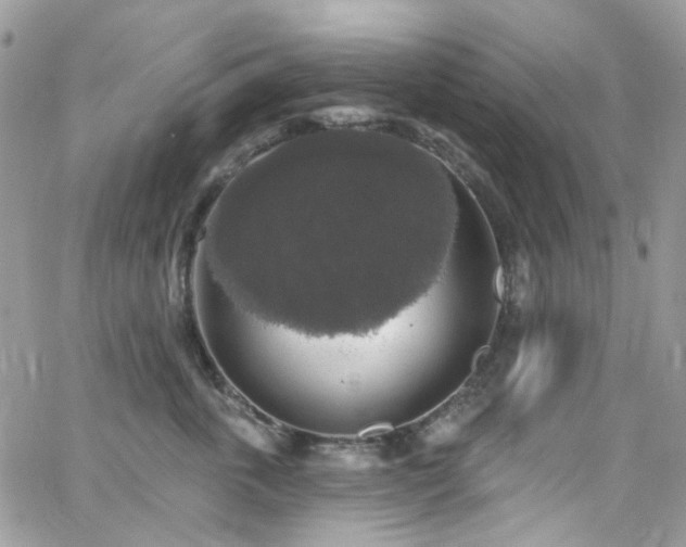 X0000062140763200512091215