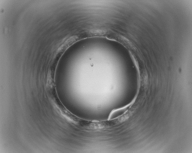 X0000062140764200512091215