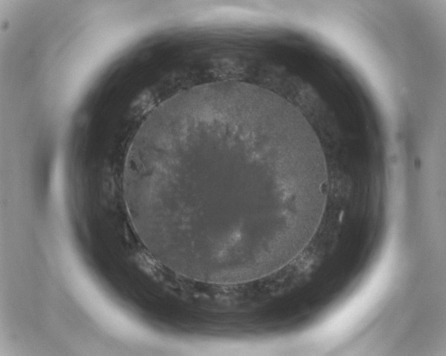 X0000062140765200512091215