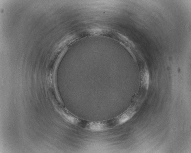 X0000062140766200512091215