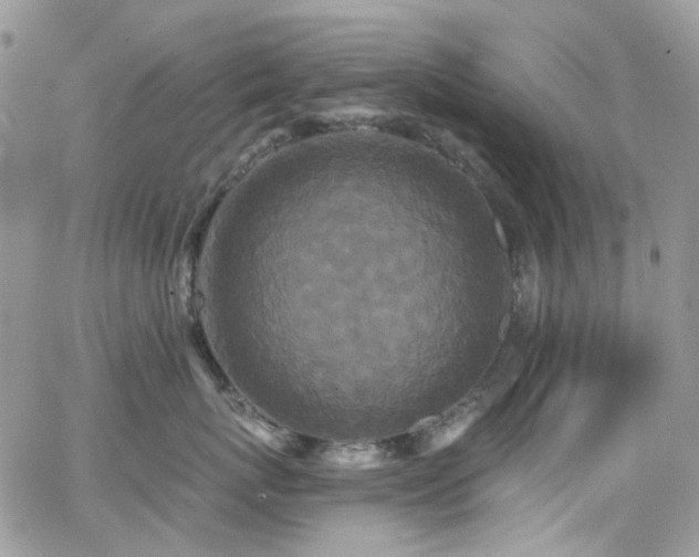 X0000062140767200512091215