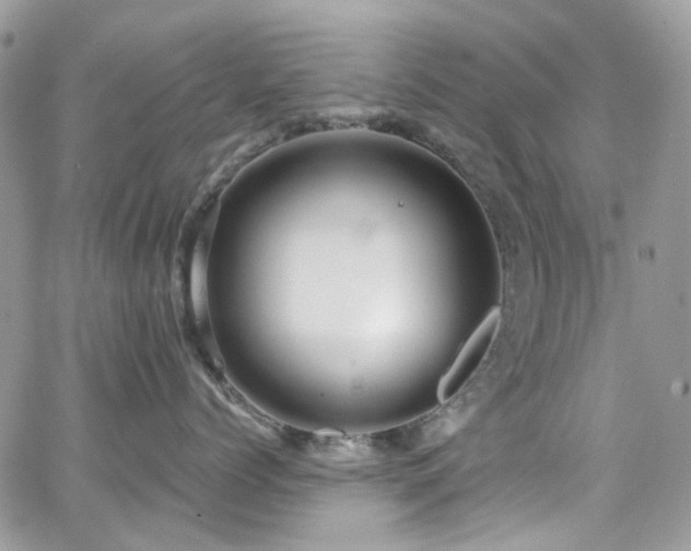 X0000062140768200512091215