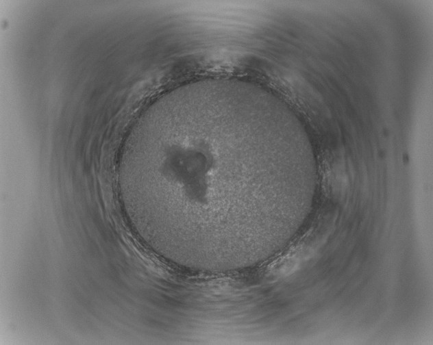 X0000062140769200512091214