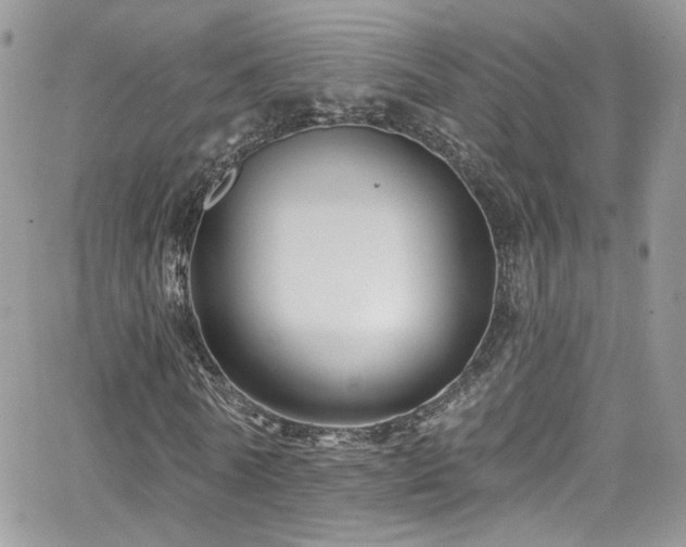 X0000062140770200512091214