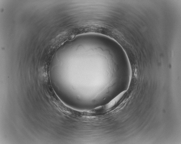 X0000062140771200512091214