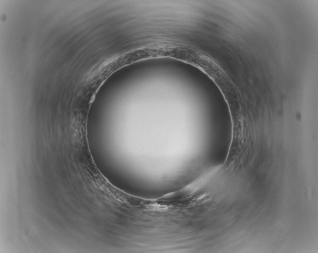 X0000062140773200512091214