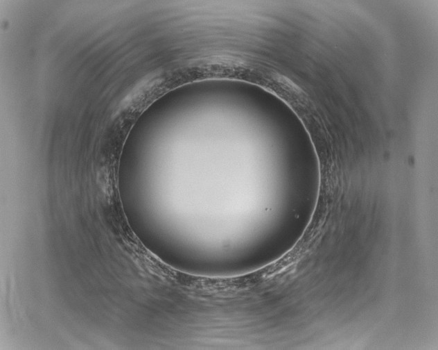 X0000062140774200512091214