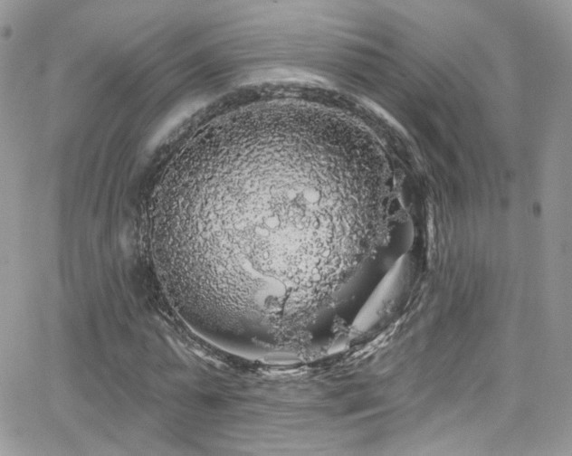 X0000062140775200512091214