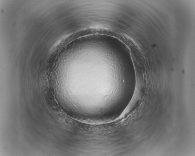 X0000062140776200512091214