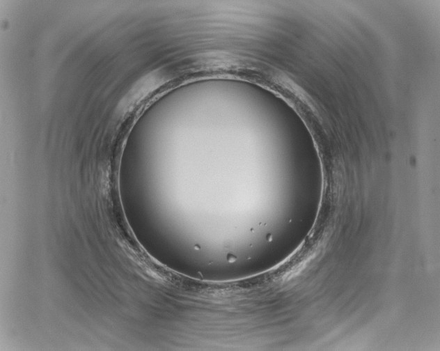 X0000062140778200512091214