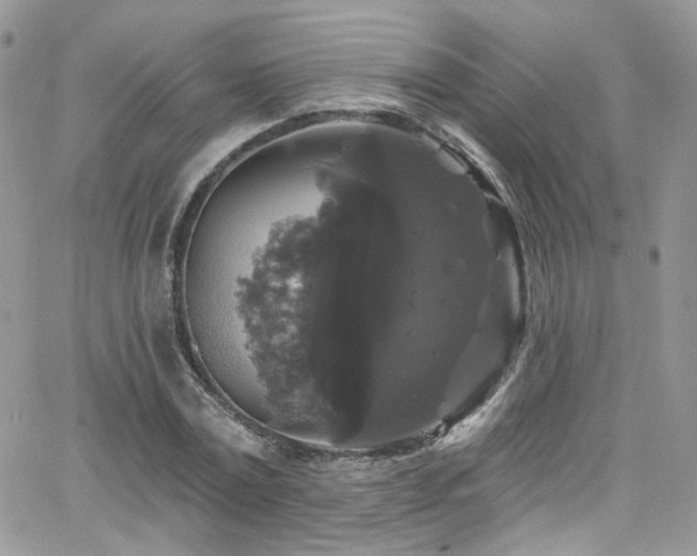 X0000062140779200512091214