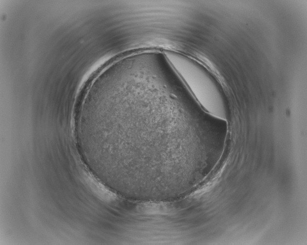 X0000062140780200512091214