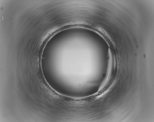 X0000062140781200512091214