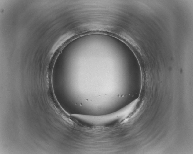 X0000062140782200512091214