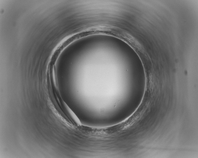 X0000062140784200512091214