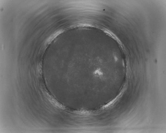 X0000062140785200512091214